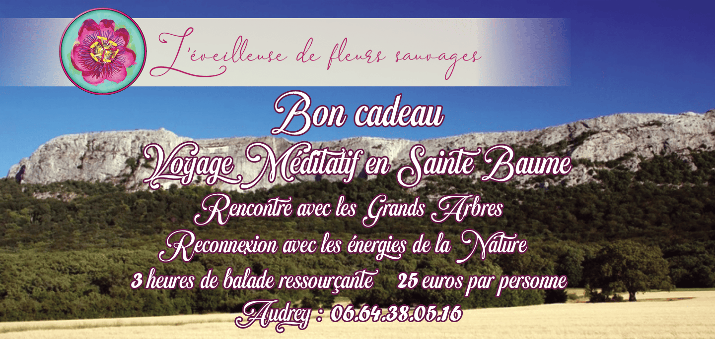 Bon cadeau Balade Sainte Baume